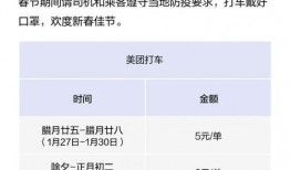 上海网约车最新爆料平台,平台动态与行业变革