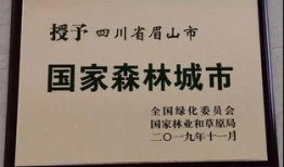 今日眉山最新爆料,揭秘神秘事件背后的真相